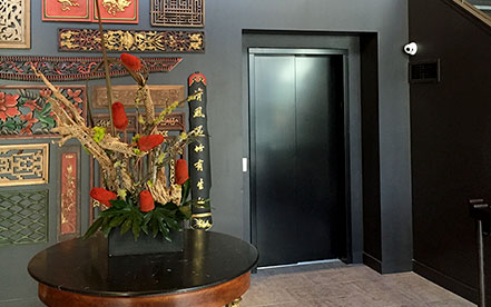 Home Elevator